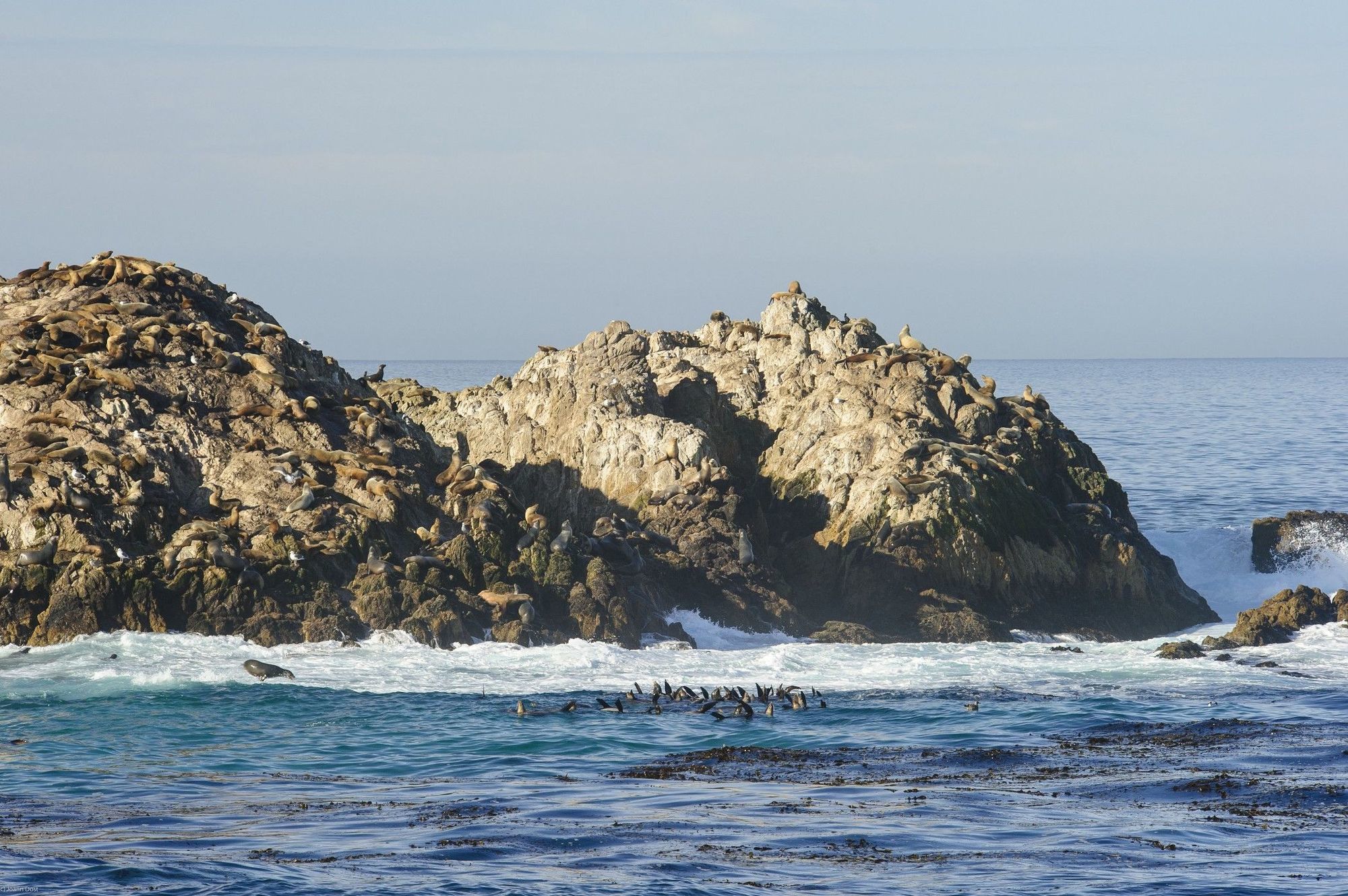 Inn At Spanish Bay Pebble Beach Exterior foto